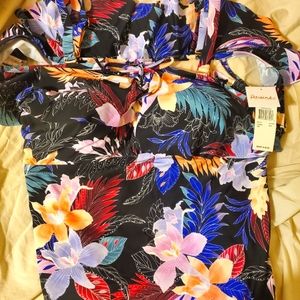 Plus size brand new bathing suit by Raisins Curve size 18W